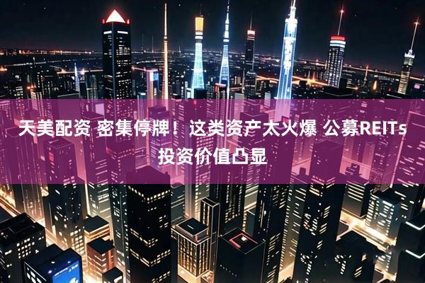 天美配资 密集停牌！这类资产太火爆 公募REITs投资价值凸显