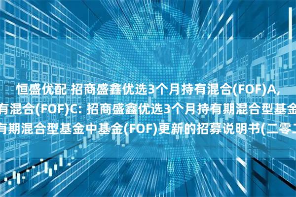 恒盛优配 招商盛鑫优选3个月持有混合(FOF)A,招商盛鑫优选3个月持有混合(FOF)C: 招商盛鑫优选3个月持有期混合型基金中基金(FOF)更新的招募说明书(二零二五年第一号)