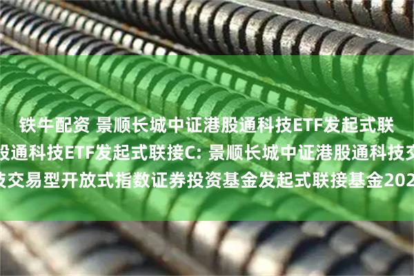 铁牛配资 景顺长城中证港股通科技ETF发起式联接A,景顺长城中证港股通科技ETF发起式联接C: 景顺长城中证港股通科技交易型开放式指数证券投资基金发起式联接基金2025年第1号更新招募说明书