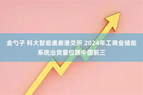 金勺子 科大智能递表港交所 2024年工商业储能系统出货量位居中国前三